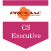 CS-Executive