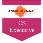 CS-Executive ไอคอน