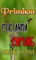 Primbon Pertanda Capung Masuk Dalam Rumah Komplit capture d'écran 3