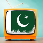 Pakistan TV ícone