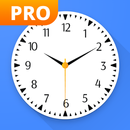 Analog Clock Widgets Pro APK