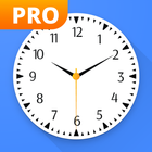 Analog Clock Widgets Pro icône