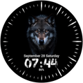 Wolf Face