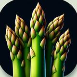 Asparagus Vegetable icon