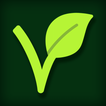 Vegetarian Recipes Offline App