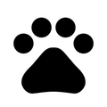 Dogs