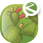 Prickly Pear Oil Benefits-icoon