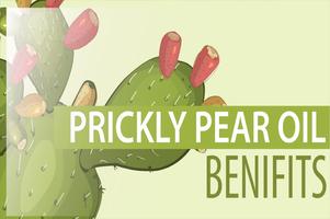 Prickly Pear Oil Benefits Affiche