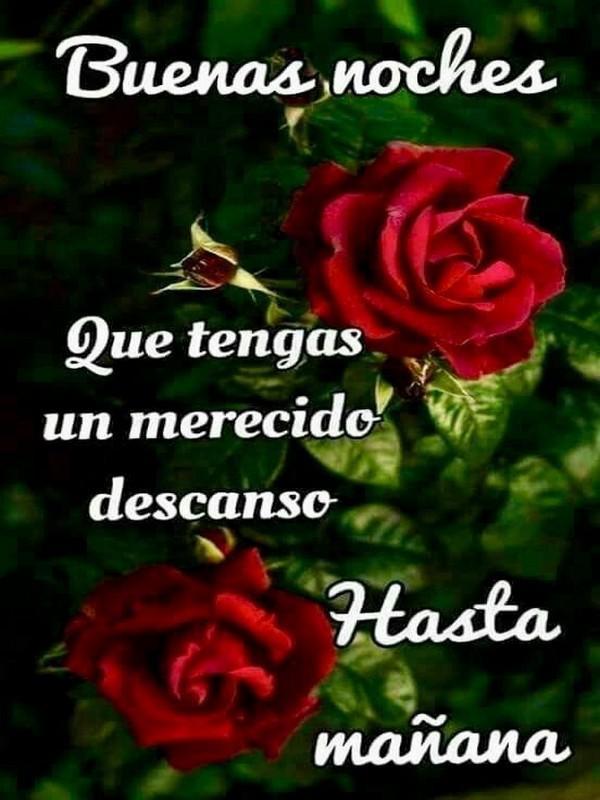 Buenas noches imágenes Gifs para WhatsApp APK für Android herunterladen Buenas noches imágenes Gifs para WhatsApp APK für Android herunterladen
