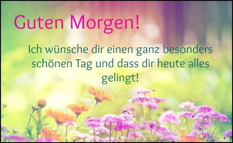 Schönen guten morgen bilder kostenlos