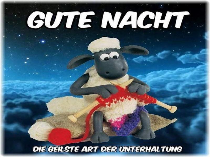 Gute nacht bilder whatsapp