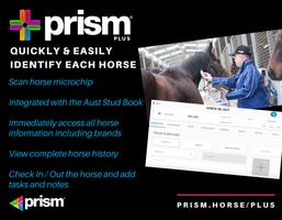 Prism Plus Tablet screenshot 3