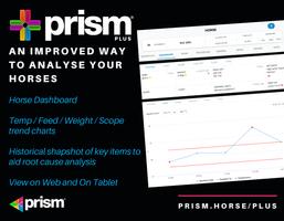 Prism Plus Tablet screenshot 2