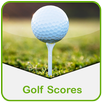 Golf Scores APK