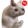 Stickers Cats Memes