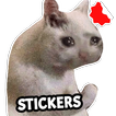 مضحك ملصقات القط WASticker