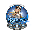 101.1 Promusic FM APK