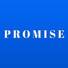 Promise icon
