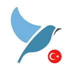 Learn Turkish. Speak Turkish.  icon