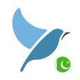 Learn Urdu. Speak Urdu. Study  APK