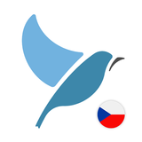 Learn Czech. Speak Czech. Stud biểu tượng