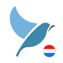 Learn Dutch. Speak Dutch. Stud APK