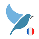 Learn French. Speak French. St APK