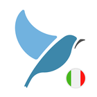 Learn Italian. Speak Italian.  icon