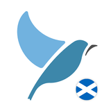 Apprenez le gaélique écossais  icône