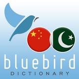 Mandarin Chinese - Punjabi Dictionary