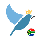 Tests d'afrikaans Bluebird APK