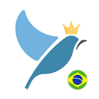 Brazilian Portuguese Tests icône