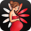 WomanLog Pregnancy Calendar