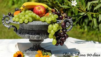 Dieta Rina تصوير الشاشة 1