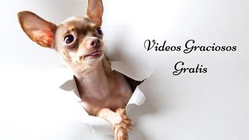 Poster Videos Chistosos Gratis