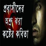 প্রবাসীদের অশ্রু ঝরা কষ্টের কবিতা иконка