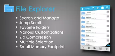 File Explorer