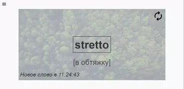 Итальянское Слово В День
