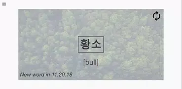 A Korean Word A Day