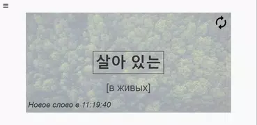 Корейское Слово В День