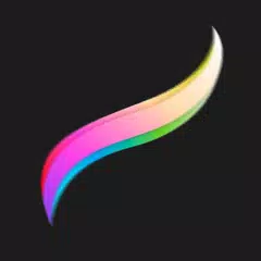 Procreate Paint Pro Editor Guide