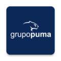 Grupo Puma