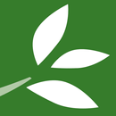 United Salad Checkout APK