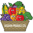 Segovia Produce Checkout App APK