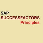 SAP SuccessFactors icône