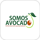 Somos Avocado APK
