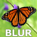 Photo Blur Background & DSLR Camera Effects Maker APK