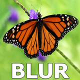 Photo Blur Background & DSLR Camera Effects Maker icono