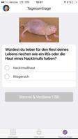 Swagbucks Bezahlte Umfragen (A Screenshot 2