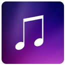 Pro Musica - Music Player APK